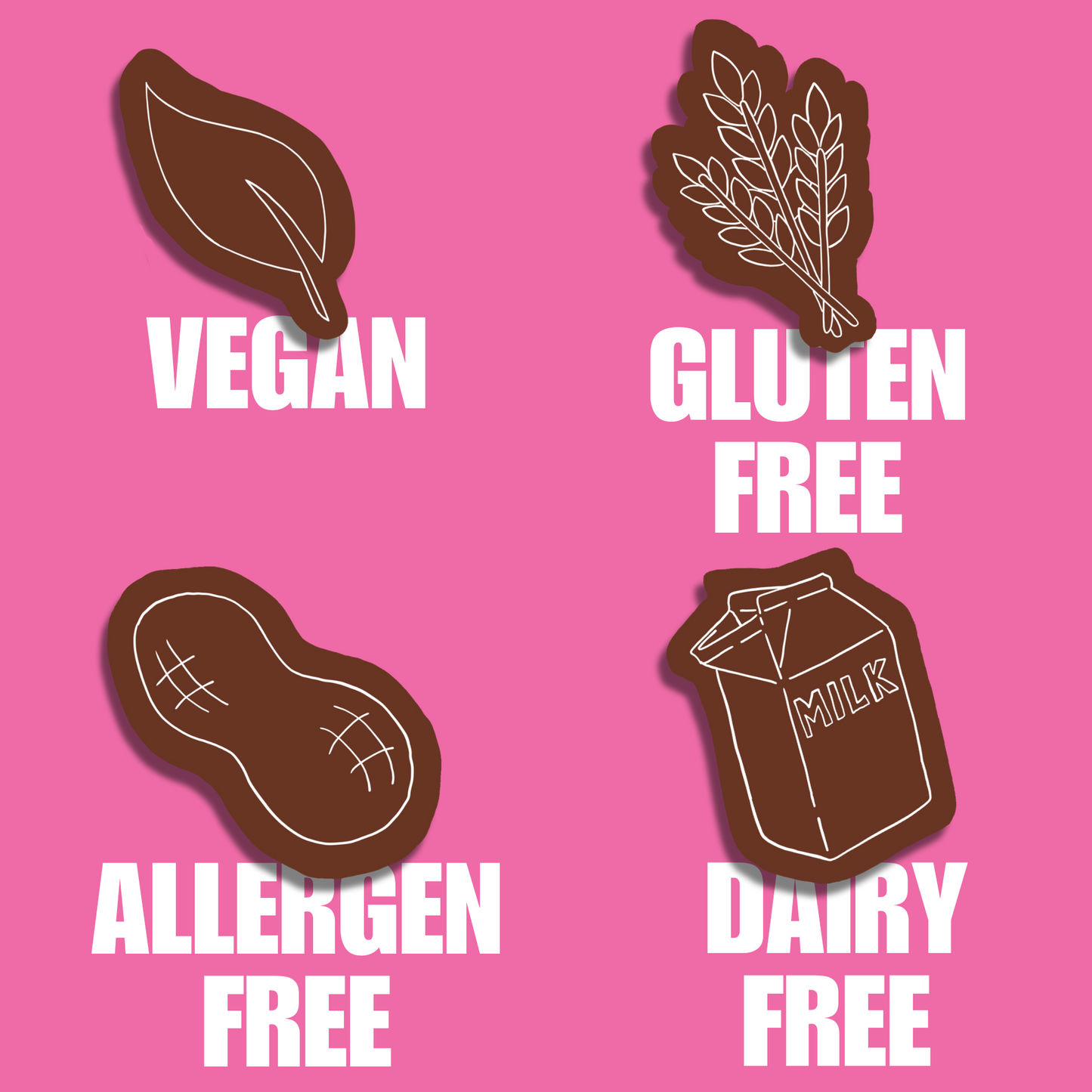 Chocolate Brownie Plant Based Protein Bar - 5 Pack