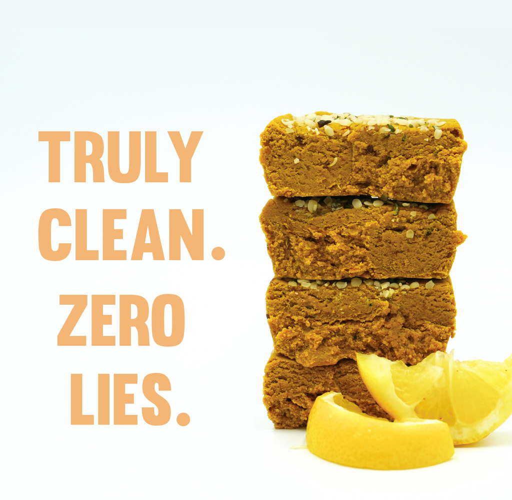 Lemon Turmeric Plant Based Protein Bar - 5 Pack