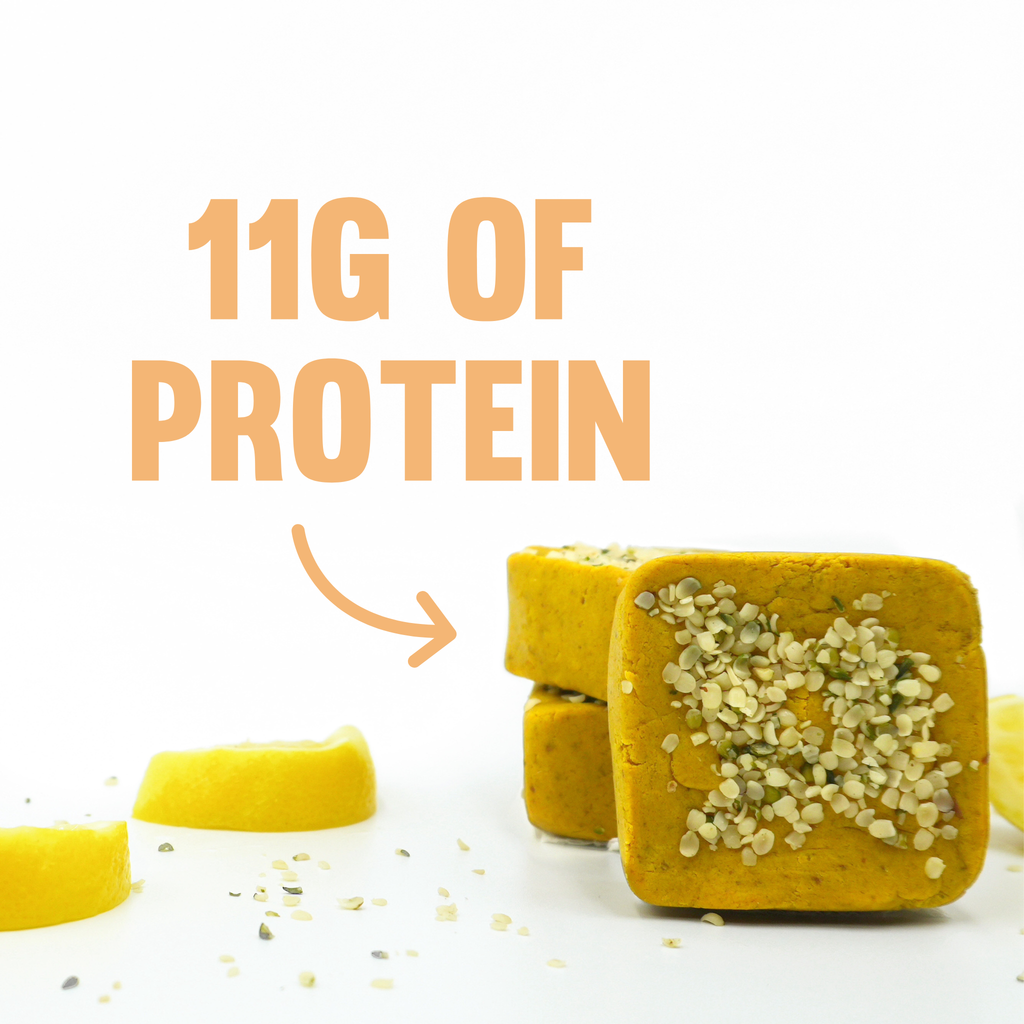 Lemon Turmeric Plant Based Protein Bar - 5 Pack